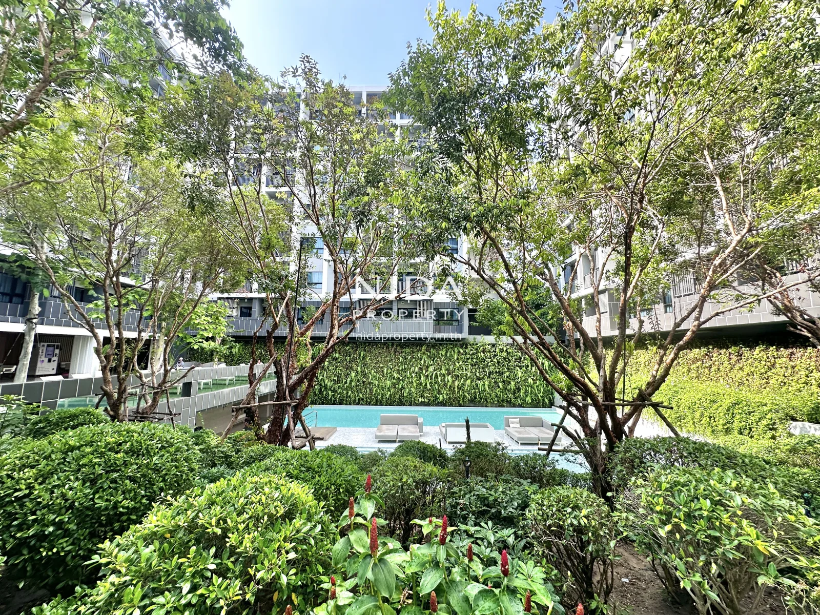 Dusit D2 Condo ชั้น 3 ห้องริม - 11