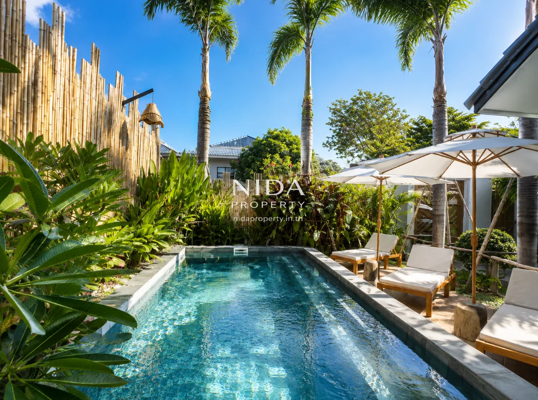 swimmimg pool & Garden area